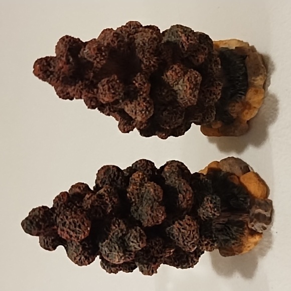 Autumn village trees - Picture 3 of 10